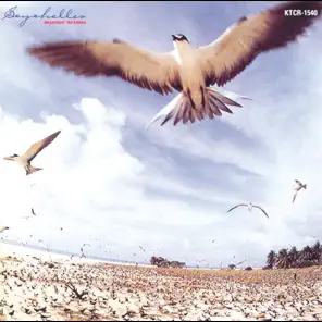 Seychelles - Masayoshi Takanaka